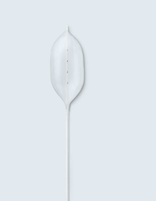 Sizing Balloon Catheter – PTS®