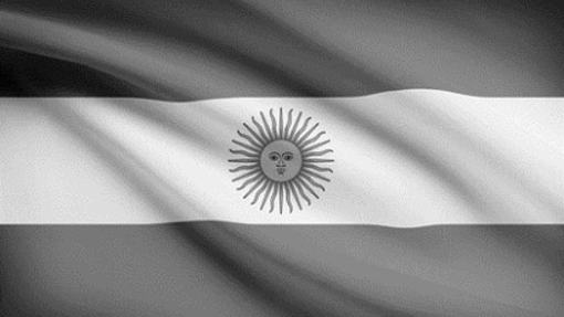 Subsidiary in Argentina Subsidiary in Argentina