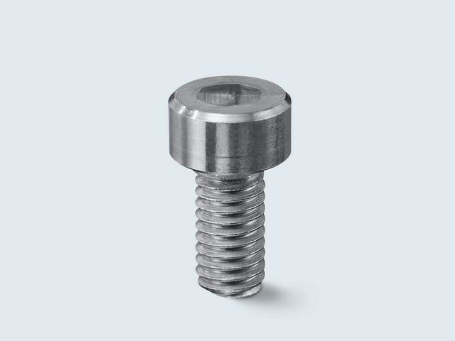 Spare Screw 160, 240D, 240S