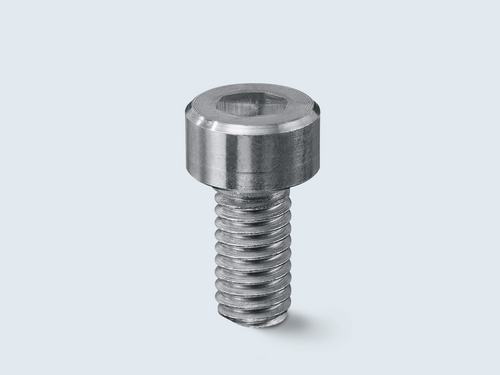 Spare Screw 160, 240D, 240S