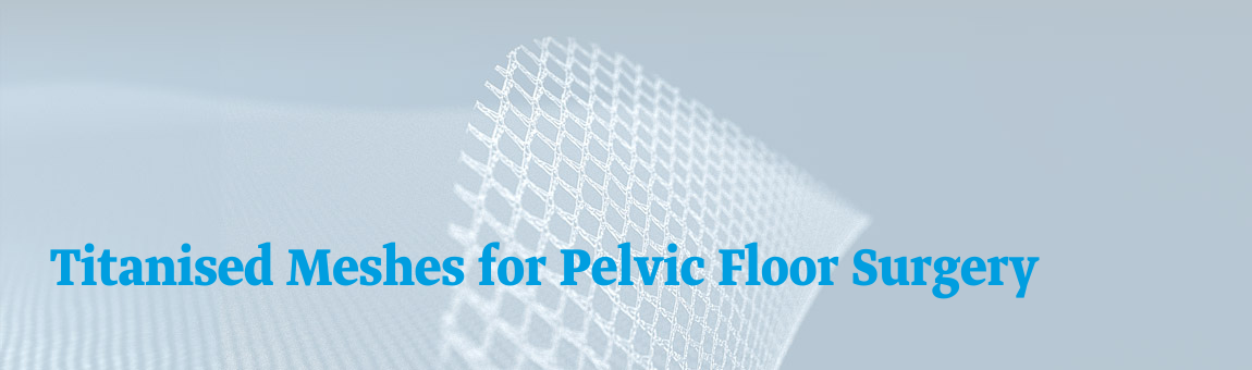 Ein transparentes titanisiertes Netz für die Beckenbodenchirurgie wird gezeigt. Der Fokus liegt auf der Struktur des Netzes, das für medizinische Anwendungen konzipiert ist. Der Hintergrund ist hell und schlicht, um die Aufmerksamkeit auf das Netz zu lenken.